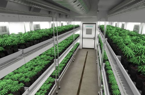 Камера для растений для роста растений - VEG1020 - CONVIRON
