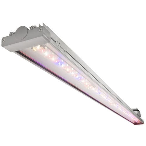 Освещение для теплицы - AE100 - Ambralight - для вертикального выращивания / для камеры для растений / для цветоводства