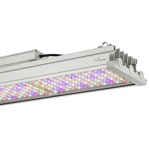 Освещение для теплицы - ELETTRA - Ambralight - для вертикального выращивания / для камеры для растений / для цветоводства
