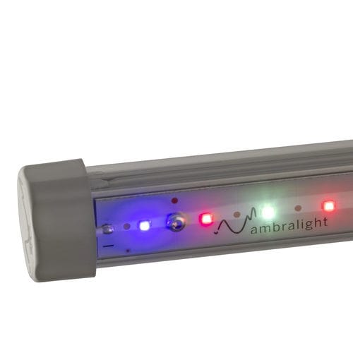 Освещение для теплицы - AQUILA - Ambralight - для вертикального выращивания / для камеры для растений / для цветоводства