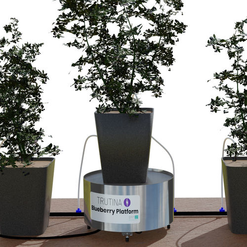 Система наблюдения для сельского хозяйства - Trutina Blueberry Professional Edition - Gremon Systems - для культуры / для орошения / для теплицы
