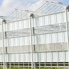 Теплица венло - Nobutec Tuinbouwprojekten B.V. - из стекла
