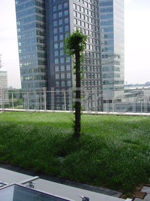 Субстрат растений перлит - Greenroof - Pull Rhenen - насыпной / пористый