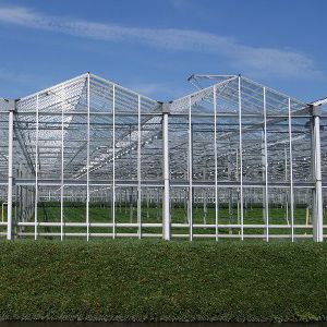 Теплица венло - Zwirs Projects B.V. - из стекла / стальная конструкция