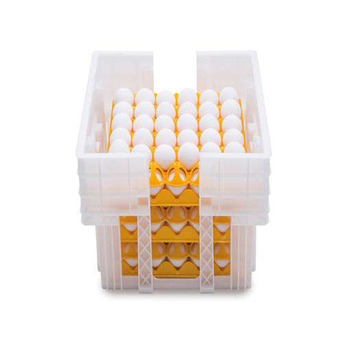Коробка для яиц для транспортировки - Ovobox - ARION FASOLI SRL - для куриных яиц / из пластика