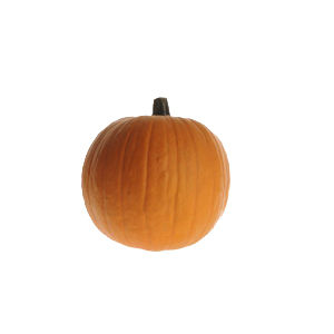 Гибридное семена тыквы - Aspen - Hollar Seeds