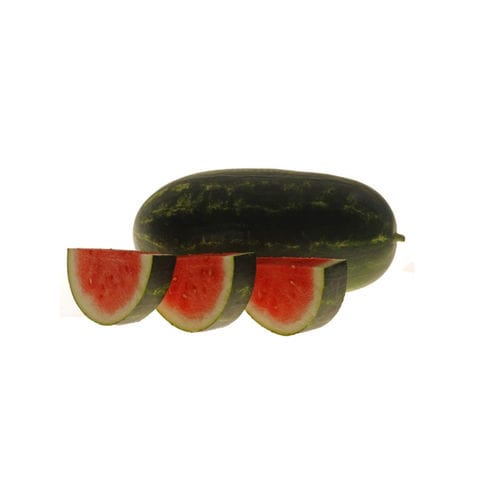 Раннее семена арбуза - Arcadia - Hollar Seeds - устойчивое к антракнозу / устойчивое к фузариозу