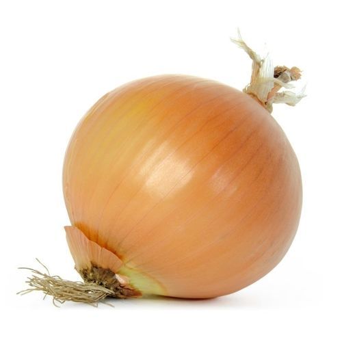 Семена лука средняя зрелость - ODETTE F-1 - PanDia Seeds - гибридный