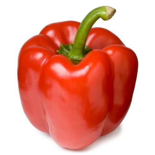 Семена сладкого перца устойчивое к мозайке - TOBBY F-1 - PanDia Seeds - устойчивое к оидиуму / гибридное / красное