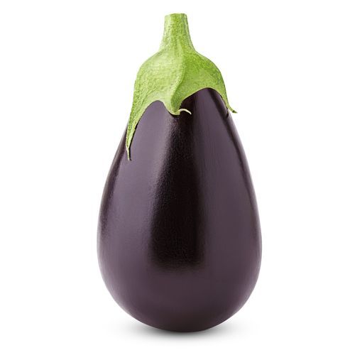 Раннее семена баклажана - BLACK BEAUTY - PanDia Seeds