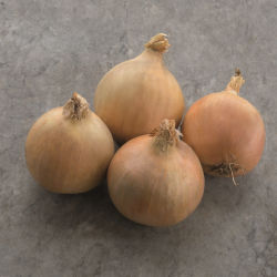 Ранний семена лука - Hybing - Elsoms Seeds