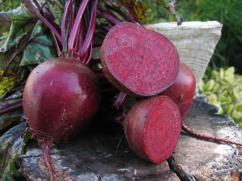 Семена свеклы для потребления - Pablo - Elsoms Seeds - красный / круглый