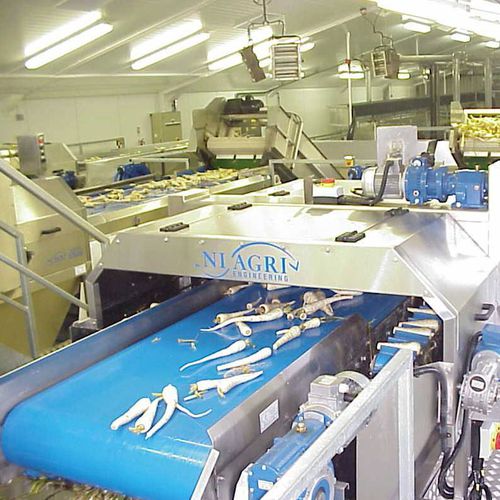 Машина для очистки урожая для пастернака - Niagri Engineering - автоматическая