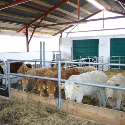 Кормовая решетка для коров - FARMTEC a.s. - самоблокирующаяся