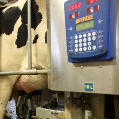 Доильная связка для коров - FARMTEC a.s. - 4 доильных стакана