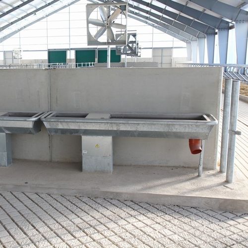 Корыто для крупного рогатого скота - FARMTEC a.s. - из пластика / из нержавеющей стали / мультидоступ