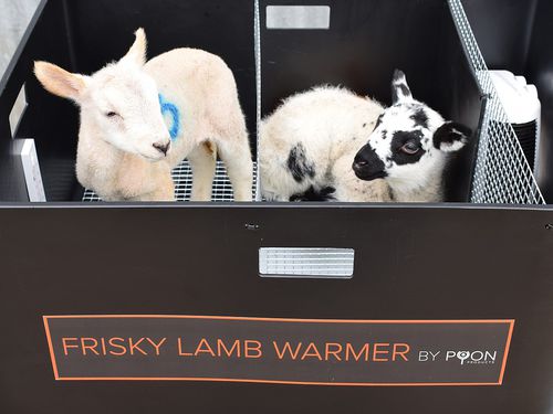 Устройство обогрева ягнят - Frisky Lamb Warmer - Shearwell Data Ltd