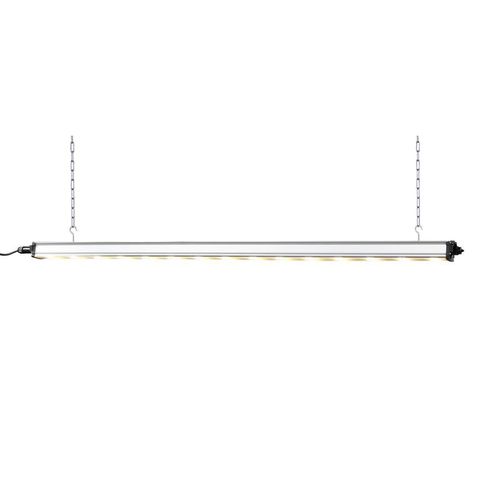 Освещение для растениеводства - HORTURION LED ML - BLV Licht- und Vakuumtechnik GmbH - LED / красная / плоская