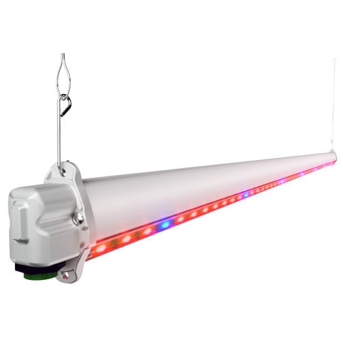 Освещение для растениеводства - HORTURION LED IL - BLV Licht- und Vakuumtechnik GmbH - LED / красная / синяя