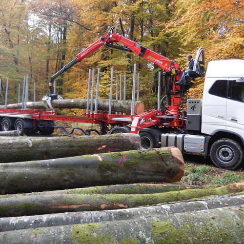 Лесопогрузчик на грузовике - S Series - EPSILON Kran GmbH - с манипулятором
