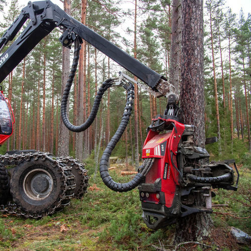 Валочная головка для прореживания - C164 - Komatsu Forest AB - с сучкорезной машиной