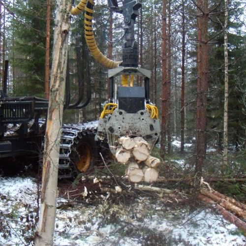 Валочная головка с загрузкой - 250 F1 - Moisio Forest Oy - с сучкорезной машиной