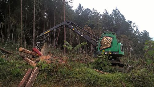 Гусеничный харвестер - 183 HVT - Neuson Forest GmbH - с подъемным краном / для склона