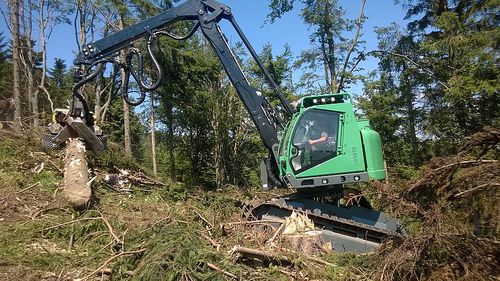 Гусеничный харвестер - 243 HV, 243 HVT - Neuson Forest GmbH - с подъемным краном