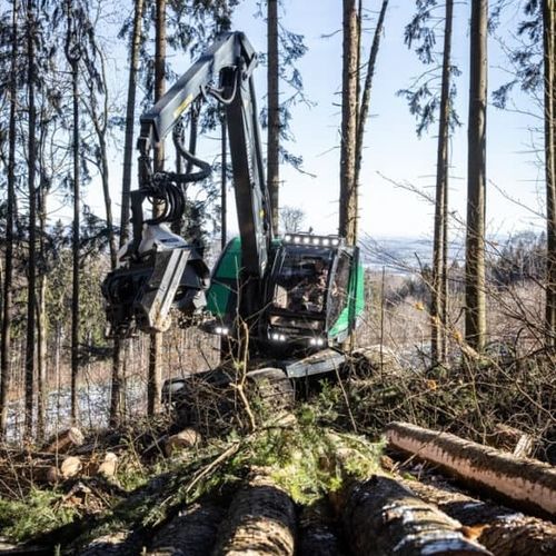 Гусеничный харвестер - 264HVT - Neuson Forest GmbH - с подъемным краном / для склона