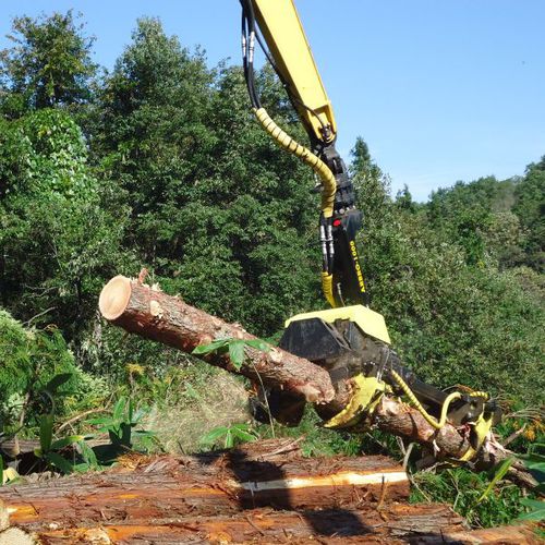 Телескопический валочная головка - AFM 1000 - AFM-Forest Ltd - с сучкорезной машиной