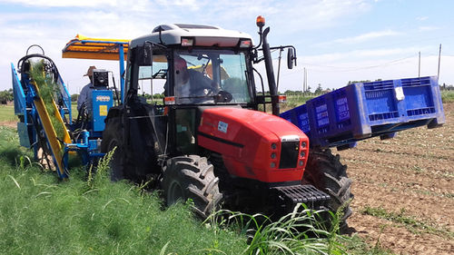 Уборочная машина для фенхеля - F 285 - Carpi Meccanica Snc - для установки на трактор / 1 ряд