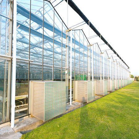 Теплица венло - Sunmax Greenhouse Technology Co., Ltd. - экспериментальная / из стекла