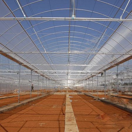 Теплица с несколькими сводами - Sunmax Greenhouse Technology Co., Ltd. - для садоводства / из стекла
