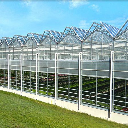 Орнаментальная теплица - Sunmax Greenhouse Technology Co., Ltd. - из стекла / с водосточным желобом / с полным открыванием