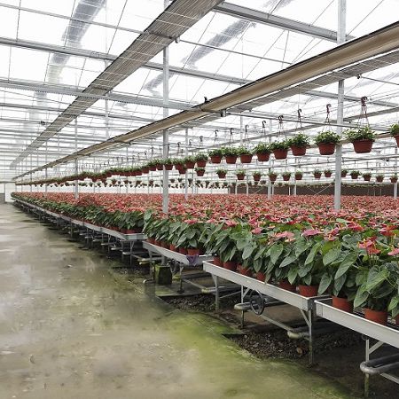 Садоводческий стол регулируемый по высоте - Sunmax Greenhouse Technology Co., Ltd.