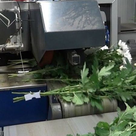 Автоматическая этикетировочная машина - Cyklop - Pack TTI  / Weber Cooling - с принтером