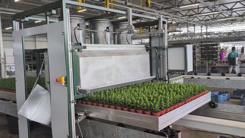 Машина для срезания веток для растений в питомнике - Venti SBO 180 - Pack TTI  / Weber Cooling - на роликах / горизонтальная / с пылесосом