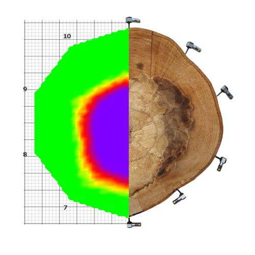 Звуковой томограф для деревьев - ArborSonic 3D - Fakopp Bt