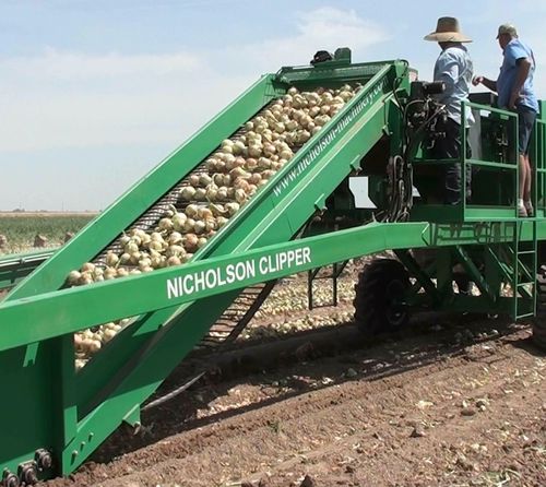 Упаковщик в пакеты - CLIPPER  - Nicholson Machinery Ltd.