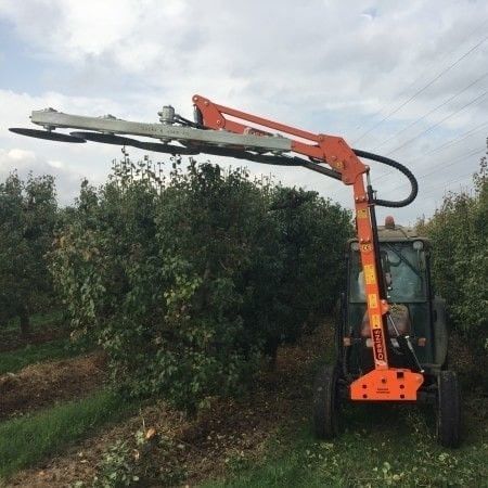 Навесная машина для предварительной обрезки лозы - JYRAFA - Corbins Agricultural Technology