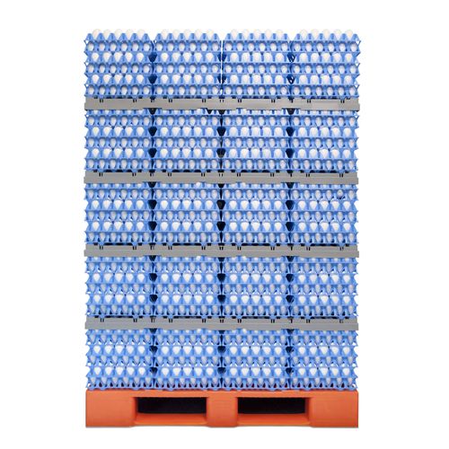 Контейнер для яиц для транспортировки - EggsCargoSystem - GI-OVO B.V. - делительное устройство / из пластика