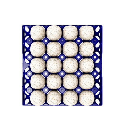 Контейнер для яиц для транспортировки - Duck - Turkey Egg Tray 20 Eggs  - GI-OVO B.V. - для утиных яиц / для яиц индейки / из пластика