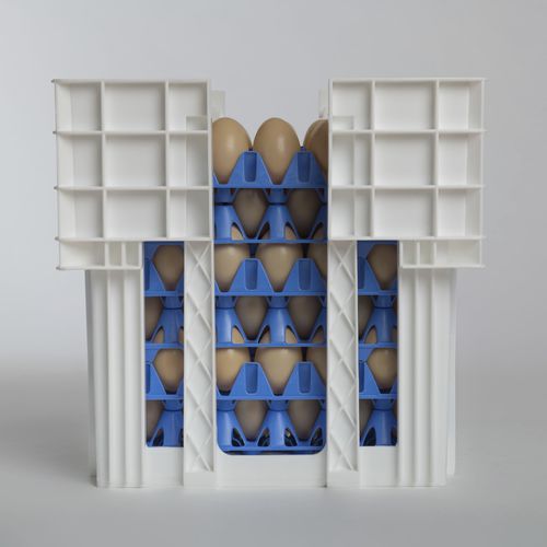 Ящик для яиц для транспортировки - EggsCargoSystem&reg; - GI-OVO B.V. - для куриных яиц / из пластика