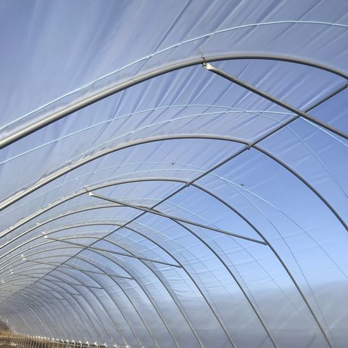 Защитный чехол для теплицы - PolyLUX - Osprey Tunnels Ltd - анти-УФ / тепловой / прозрачный