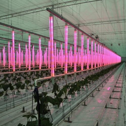 Освещение для теплицы - Osprey Tunnels Ltd - для вертикального выращивания / LED / для внутреннего пространства