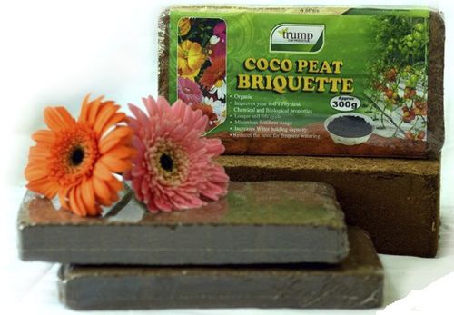 Субстрат растений кокосовый торф - BRIQUETTE - TRUMP COIR PRODUCTS (PVT) LTD. - блоки земли / компактный