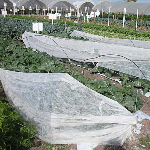 Защитная сетка - Hsia Cheng Woven Textile Co., Ltd - вязаная / нетканая