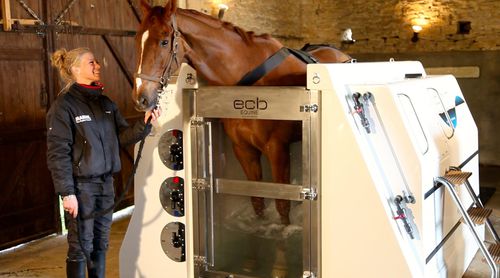 Спа для лошадей холодной водой - PREMIER SPA - ECB Equine Spa - на горячей воде / с соленой водой