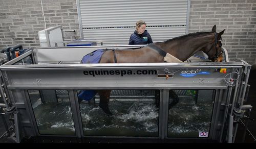 Погружная беговая дорожка для лошадей - ECB Equine Spa