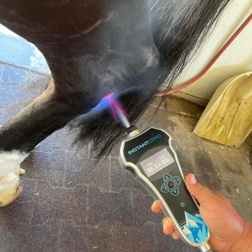 Газовый прибор для ветеринарной криотерапии - INSTANTCRYO ™ - ECB Equine Spa - для лошадей